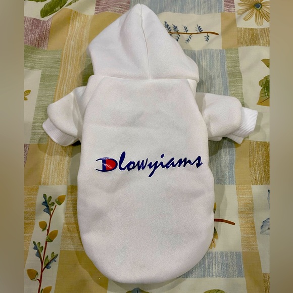 Kitten or small dog hoodie - Picture 1 of 4